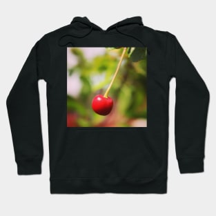 Garden Berry Hoodie